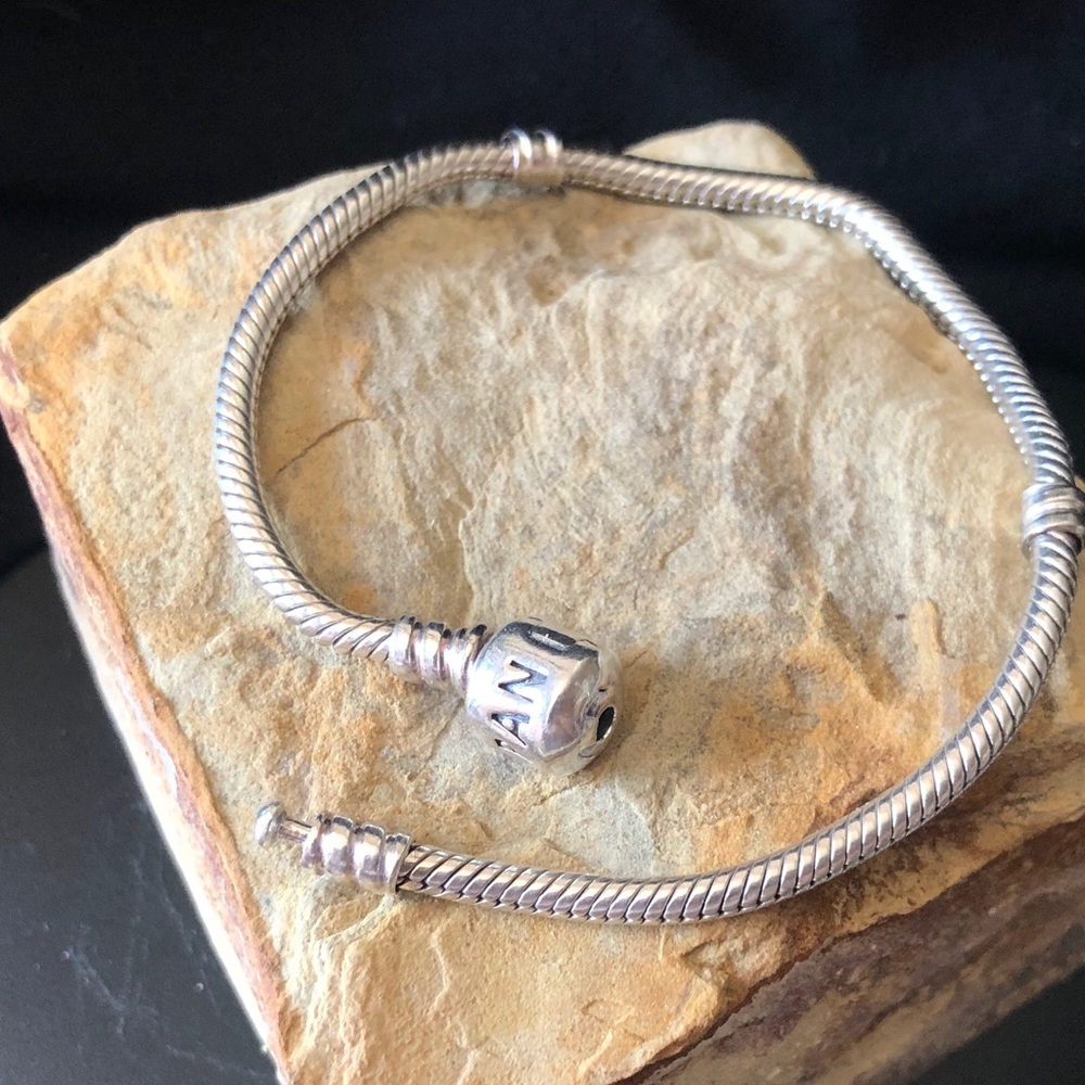 Pandora Silver Snake Chain Bracelet